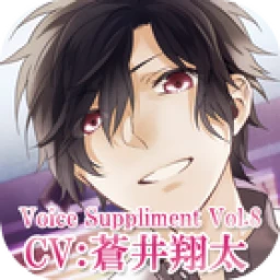 Symbol von Voicesupplement-series2-